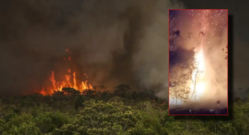 Governo do Amazonas decreta estado de emergência em 36 municípios sufocados pelas queimadas e seca