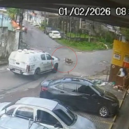 Justiça decreta prisão de PM que dirigia viatura e atropelou cães
