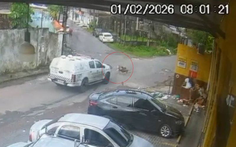 Justiça decreta prisão de PM que dirigia viatura e atropelou cães