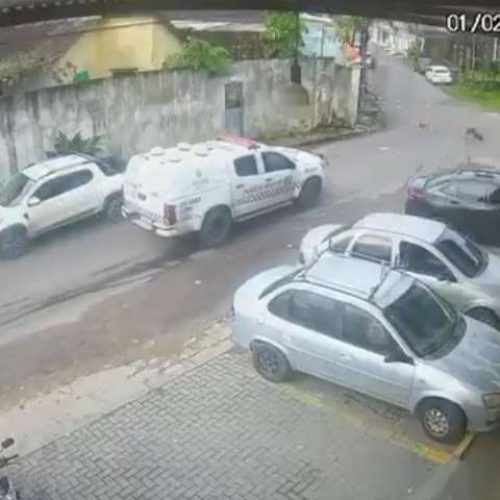 Policiais que atropelaram e mataram cadelas em Manaus são afastados das ruas