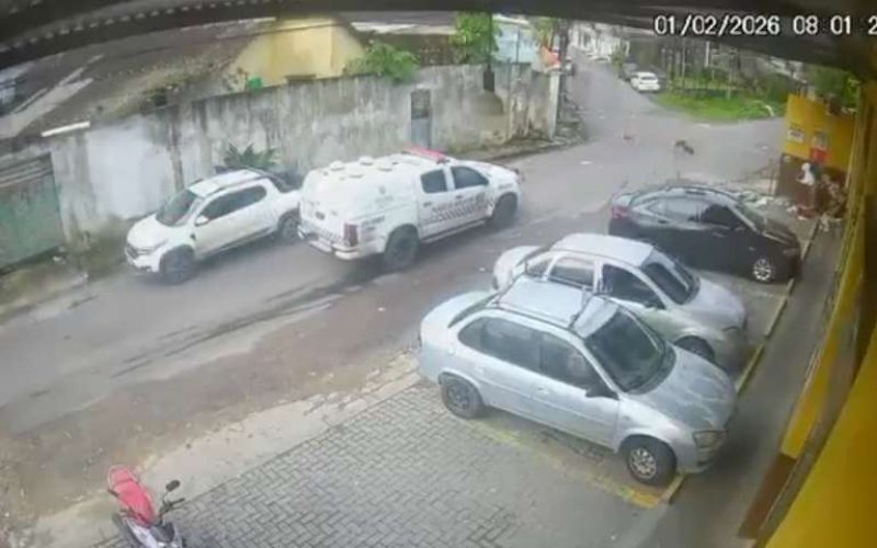 Policiais que atropelaram e mataram cadelas em Manaus são afastados das ruas