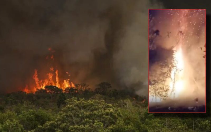Governo do Amazonas decreta estado de emergência em 36 municípios sufocados pelas queimadas e seca