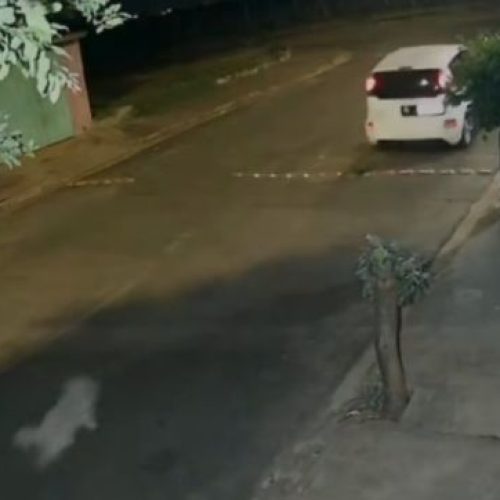 Cachorro corre atrás de carro após ser abandonado em rua e cena gera comoção nas redes sociais