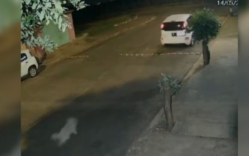 Cachorro corre atrás de carro após ser abandonado em rua e cena gera comoção nas redes sociais