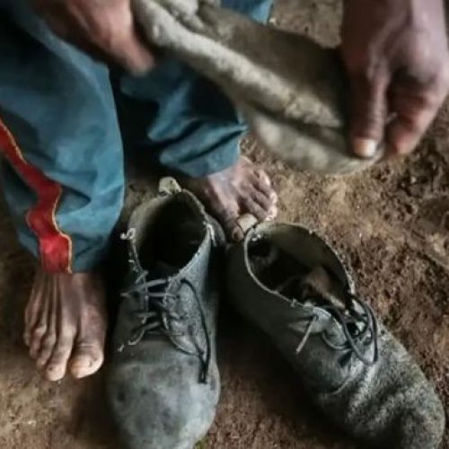Senado aprova projeto que amplia proteção a vítimas de trabalho escravo no Brasil