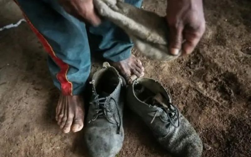 Senado aprova projeto que amplia proteção a vítimas de trabalho escravo no Brasil