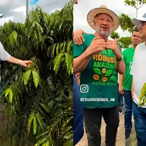 Senador Eduardo Braga visita áreas de produção e reforça ações para o agronegócio em Rio Preto da Eva: “O interior não pode ser só promessa”