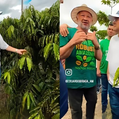 Senador Eduardo Braga visita áreas de produção e reforça ações para o agronegócio em Rio Preto da Eva: “O interior não pode ser só promessa”