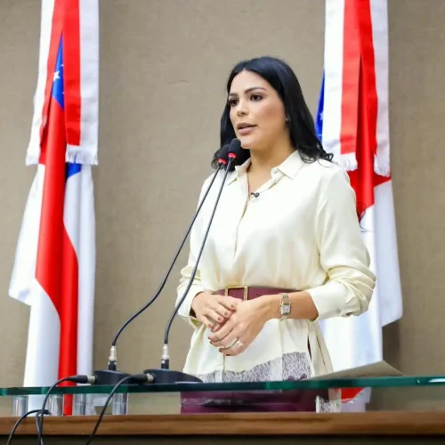 Mayra Dias cobra medidas efetivas contra queimadas e fumaça e exige plano de ação para estiagem no Amazonas