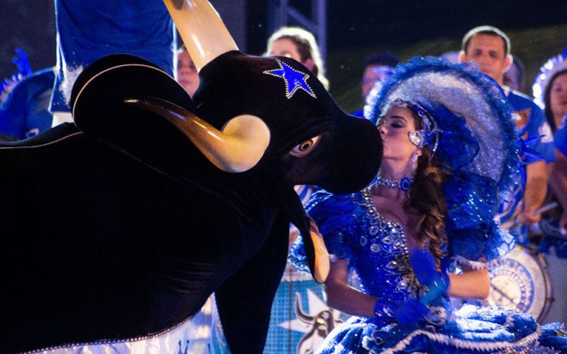 Bar do Boi Caprichoso anima Manaus com ensaio gratuito hoje