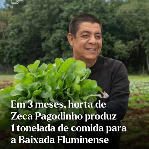 Zeca Pagodinho cria horta comunitária gigante no Rio e doa mais de 1 tonelada de alimentos à vizinhança