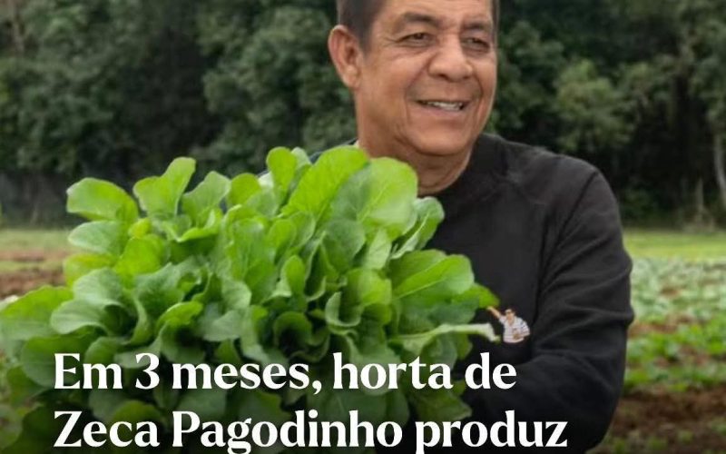 Zeca Pagodinho cria horta comunitária gigante no Rio e doa mais de 1 tonelada de alimentos à vizinhança