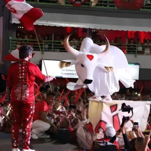 Boi Garantido realiza festa com homenagens às cunhãs poranga neste sábado (9) em Manaus