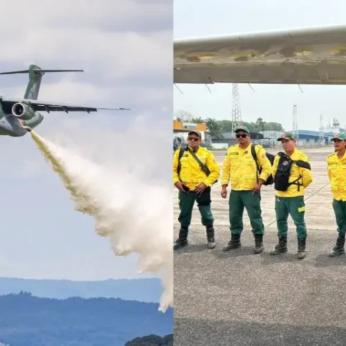 Novos brigadistas do Ibama chegam a Manaus para combater incêndios