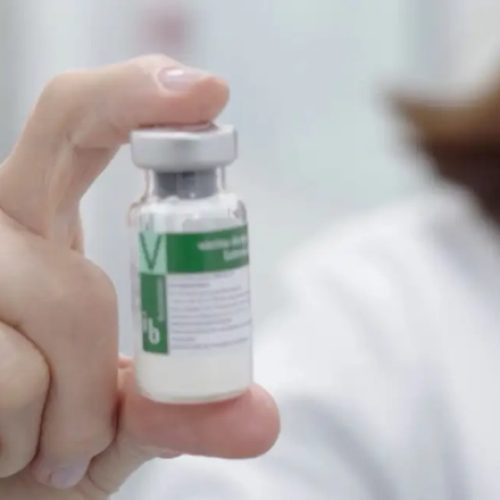 Butantan Entrega Primeiras Doses da Vacina Contra a Dengue ao Ministério da Saúde
