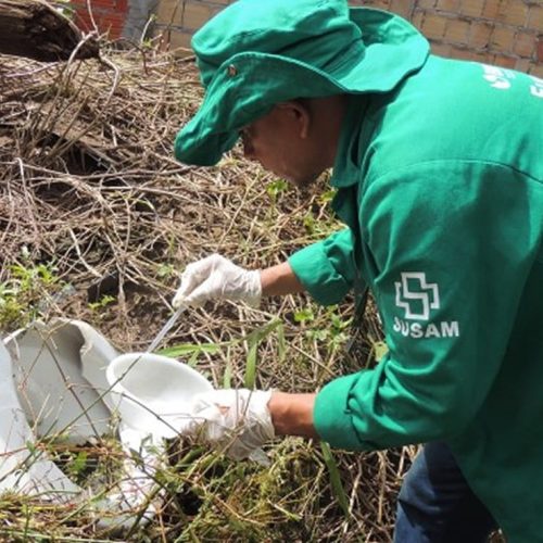 Dengue no Amazonas: Doença Viral com Maior Ocorrência Apesar de Queda nos Casos
