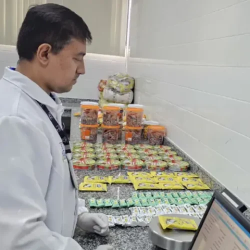 Operação Festas Juninas: Ipem-AM fiscaliza mais de 900 produtos típicos comercializados no Amazonas