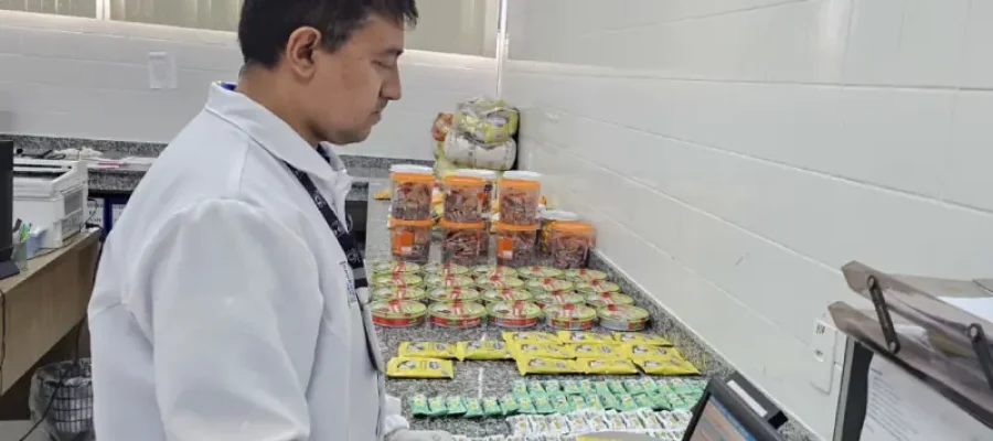 Operação Festas Juninas: Ipem-AM fiscaliza mais de 900 produtos típicos comercializados no Amazonas