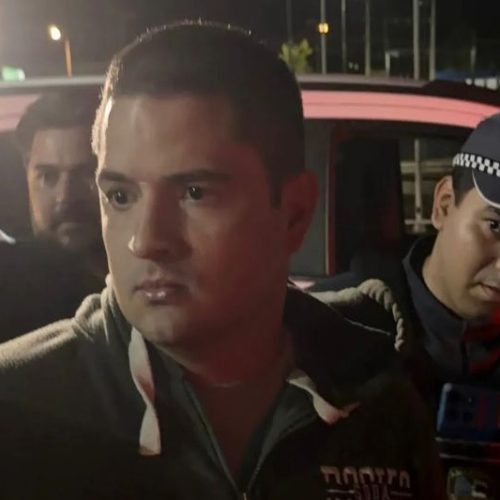 Homem é preso no aeroporto após atropelar cães de forma intencional